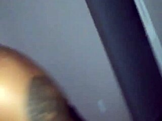 Black beauty gets her fix of BBC