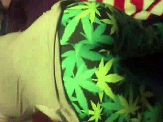 The best of Dicknastytheillest - cream pie compilation